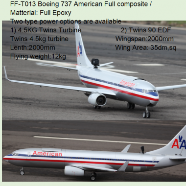FF-T013 Boeing 737 American Full composite