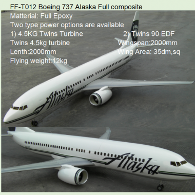 FF-T012 Boeing 737 Alaska Full composite